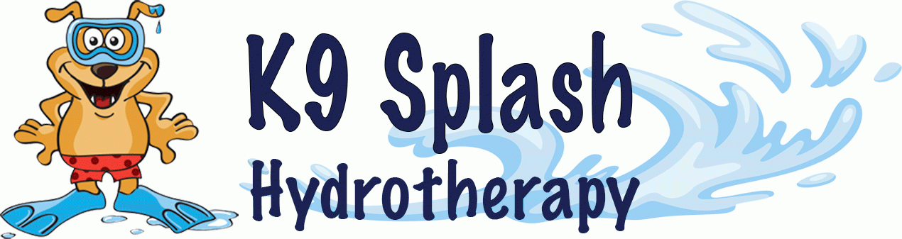 K9 Splash Hydrotherapy